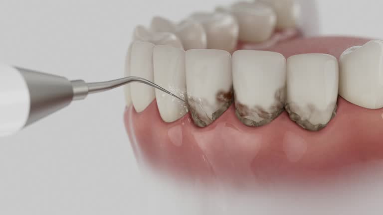 Reliable Dental contractor in Rancho Viejo, TX by Dentist Open Now